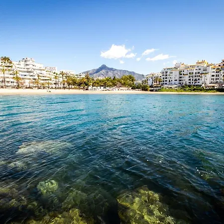 Banus - Banus Mimosas *