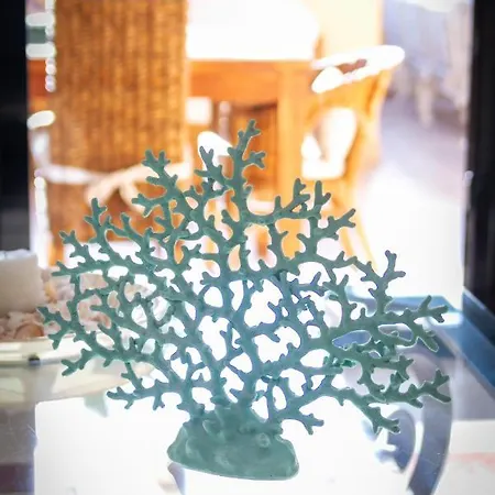 Banus - Banus Mimosas *