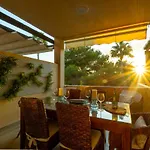 Banus - Banus Mimosas
