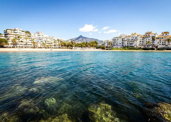 Banus - Banus Mimosas *