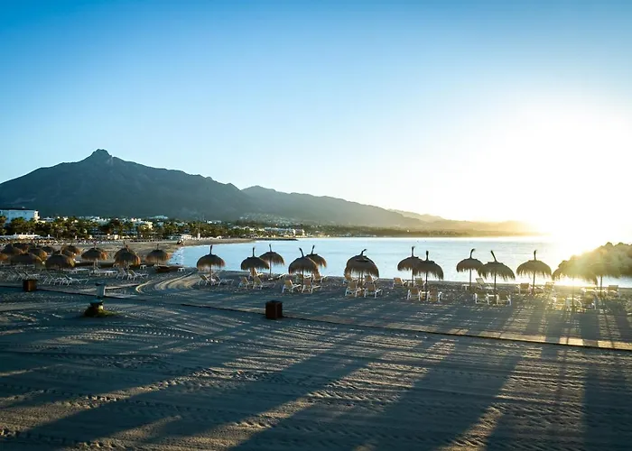 Banus - Banus Mimosas *