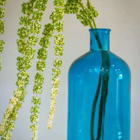 Banus - Banus Mimosas *