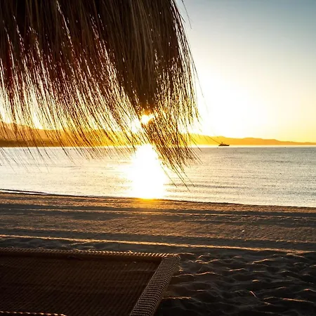 Banus - Banus Mimosas *